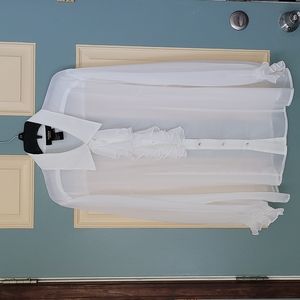 Stunning! Twiggy ivory sheer ruffle blouse